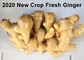 300g Air Dried Ginger yellow