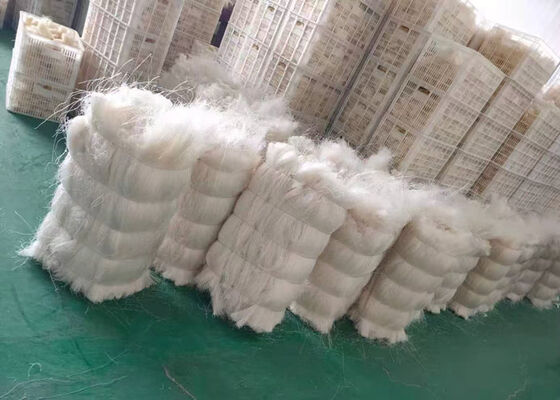 Βιομηχανικό πράσινο φασόλι Vermicelli -- Κινέζος κατασκευαστής και εξαγωγέας - χονδρικός προμηθευτής για εισαγωγείς και χονδρεμπόρους