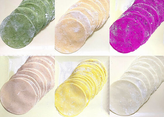 Περιτυλίγματα Dumpling – HALAL Πιστοποιημένος κατασκευαστής προτύπων ΕΕ