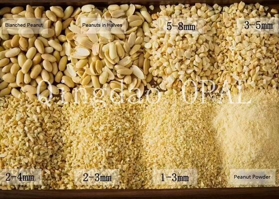 Πριμιουμ αποφλοιωμένοι πυρήνες αραχίδων, πιστοποιημένοι HALAL & συμβατοί με την ΕΕ, ωμές αραχίδες χωρίς φλούδα για εισαγωγή