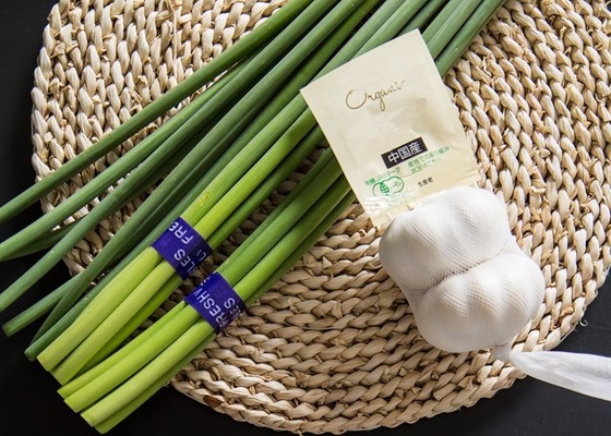 Φρέσκο μπουλόνι σκόρδου HACCP