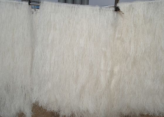 60kg να συσκευάσει ξέρει πολύ την οργανική Vermicelli φασολιών γλουτένη ελεύθερη
