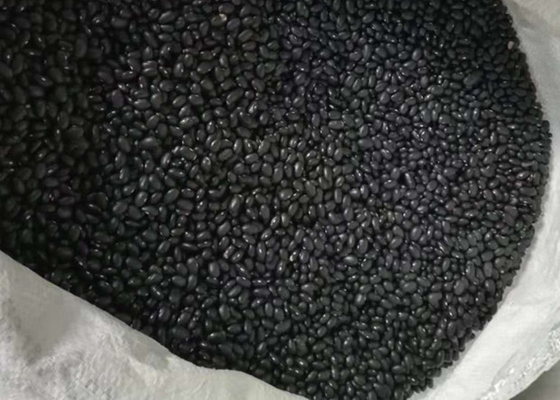 Αποξηραμένα φασόλια Κινέζικα μαύρα φασόλια